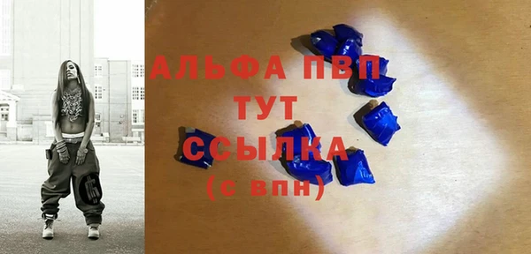хмурый Новозыбков