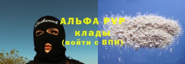 хмурый Новозыбков