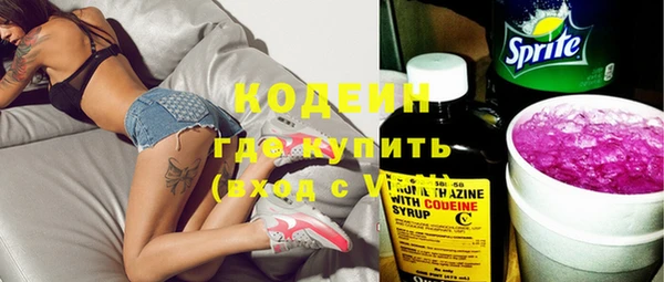 хмурый Новозыбков