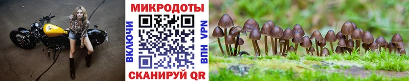 где купить   Махачкала  Галлюциногенные грибы мухоморы 