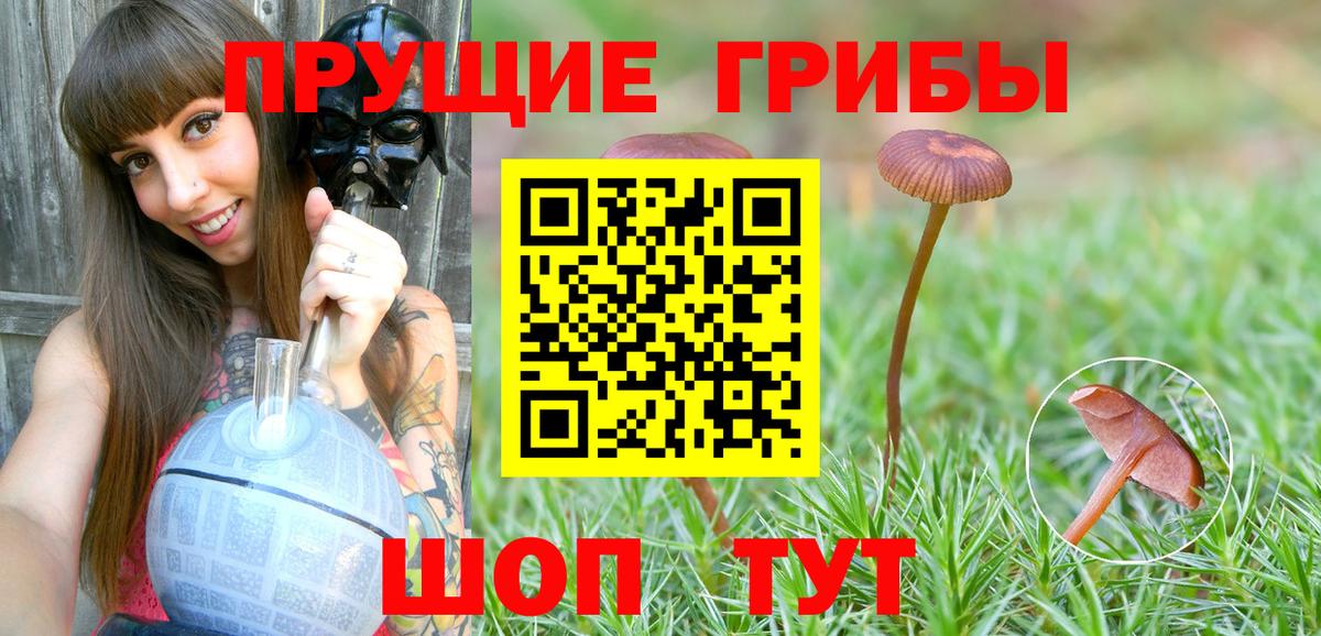 Галлюциногенные грибы мухоморы  магазин    Галлюциногенные грибы ЛСД  Махачкала 