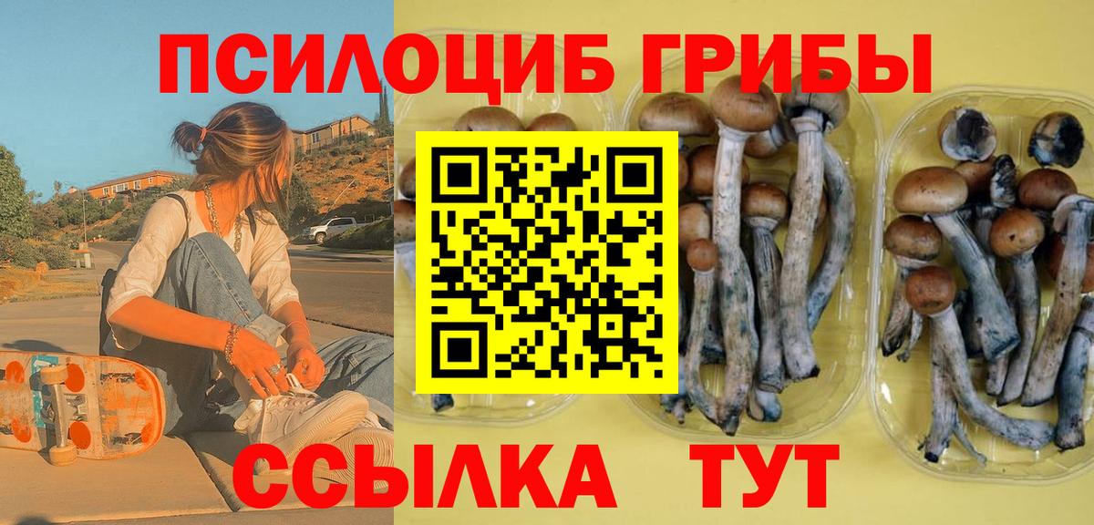 Псилоцибиновые грибы Magic Shrooms  Вход с VPN  Махачкала 