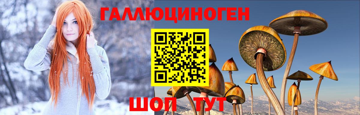 Галлюциногенные грибы мицелий Махачкала