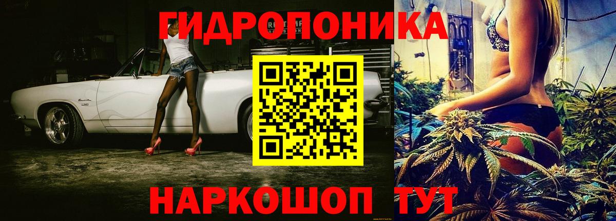 Канабис гибрид  Конопля Amnesia  Каннабис конопля  Махачкала  Вход с VPN  Каннабис Ganja 